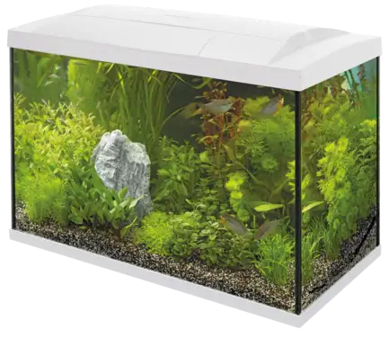 Акваріумний стартовий набір SuperFish Start 100 Aquarium Kit White (A4050297)