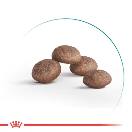 Корм для дорослих стерилізованих котів ROYAL CANIN STERILISED 11+(віком від 11 років) 2 кг: додаткове фото 2