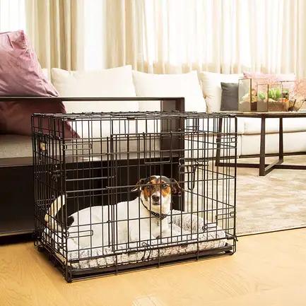 Ferplast DOG-INN 60 Вольєр для собак: додаткове фото 3