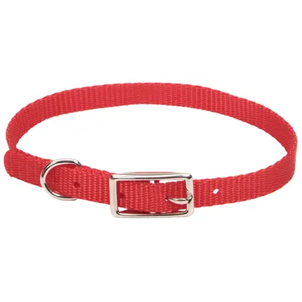 Coastal Nylon Web КОСТАЛ НАЙЛОН ВЕБ нашийник для собак,1х30см Червоний
