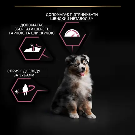 Сухий корм PRO PLAN Medium Puppy <1 Sensitive Skin для цуценят середніх порід з чутливою шкірою з лососем 12 кг: додаткове фото 8