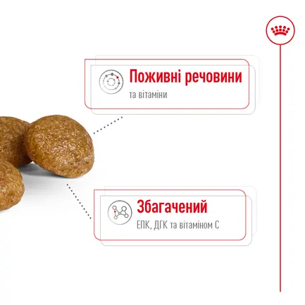 Сухий корм Royal Canin XSMALL ADULT 8+ для собак зрілого віку мініатюрних порід 3 кг: додаткове фото 5