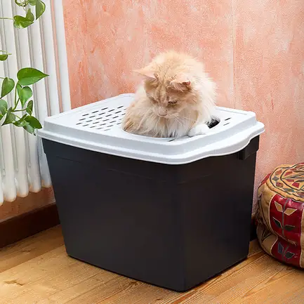 Ferplast JUMPY TOILETTE Туалет для котів, пластик: додаткове фото 3