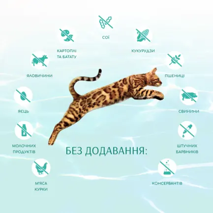 OPTIMEAL™. Б`ЮТІ ФІТНЕС. ЗДОРОВА ВАГА. Б/з сухий корм для стерил кіш та кастр кот/Морепрод- 1,5 кг: додаткове фото 6