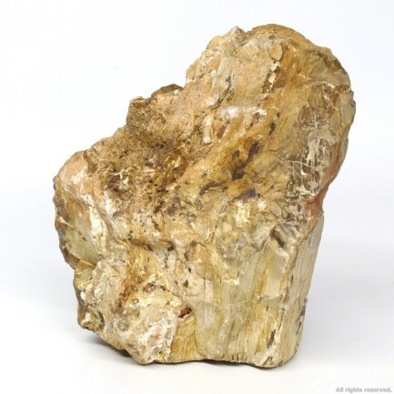 Декоративний природній камінь Hobby Petrified Wood M 1-2.2кг (40687) — Фото 1