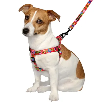 Повідець для собак BronzeDog Urban Folk нейлоновий кораловий XL: додаткове фото 2