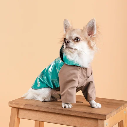 Дощовик Pet Fashion Semmy для собак розмір S: додаткове фото 6