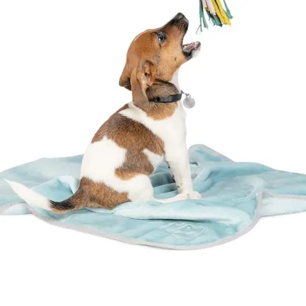 Плед Pet Fashion «Bliss» для собак та цуценят, 77х100 см, м'ята: додаткове фото 2