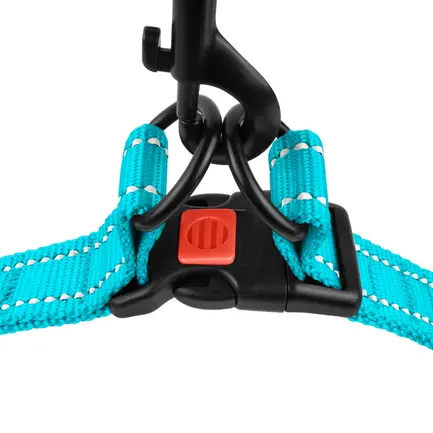 Шлея для Собак BronzeDog Active Нейлонова зі Світловідбиттям Блакитна S: додаткове фото 3