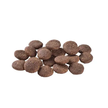 Корм Brit Care Dog Hypoallergenic Adult Large Breed для собак великих порід, гіпоалергенний з ягням, 12+2 кг: додаткове фото 2