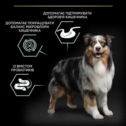 Сухий корм PRO PLAN Medium Adult 1+ Sensitive Digestion для дорослих собак середніх порід з чутливим травленням з ягням 3 кг: додаткове фото 8