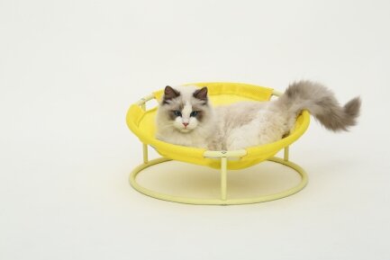 Складаний лежак для домашніх тварин MISOKO Pet bed round, 45x45x22 cm, yellow — Фото 3