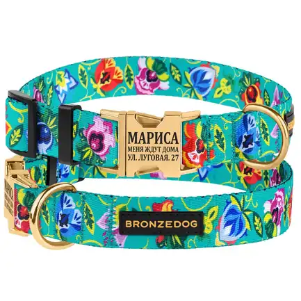 Нашийник для собак Bronzedog Urban Folk нейлоновий з металевою пряжкою золотистого кольору ментоловий M