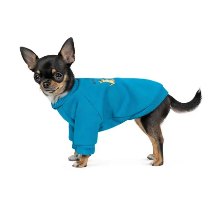 Толстовка Pet Fashion "Peace for Ukraine" для собак, розмір XS, блакитна: додаткове фото 2