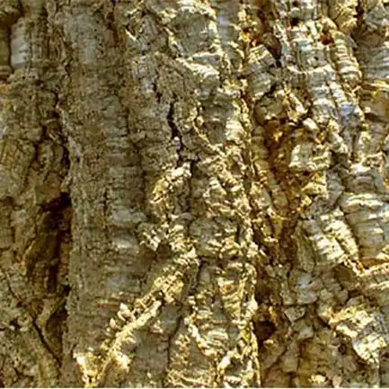 Декорація для акваріума HABISTAT CORK BARK 1KG (R5100210)