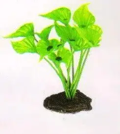 Aquatic Plants (Акватик Плэнтс) Акваріумна рослина, 13 см х 10 шт/уп.