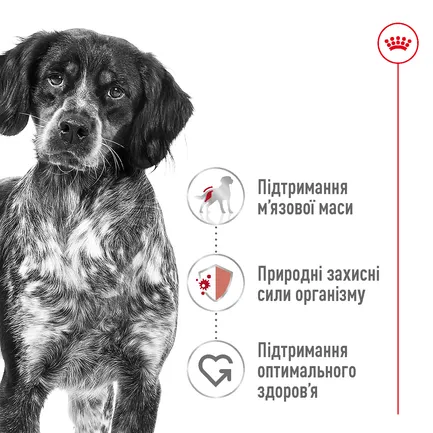 Сухий корм Royal Canin MEDIUM ADULT для дорослих собак середніх порід 15 кг: додаткове фото 6