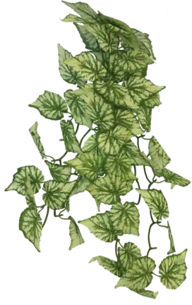 REPTO PLANT HANGING HEDERA 65CM (R5100420) Штучна рослина для тераріума
