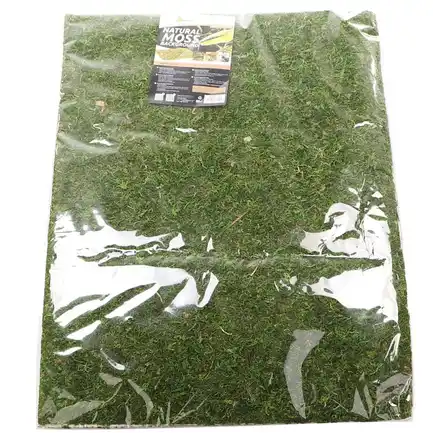 Фон моховий Repti-Zoo Natural Moss Back & Bottom 20x30см 2шт. (NCM3020): додаткове фото 3