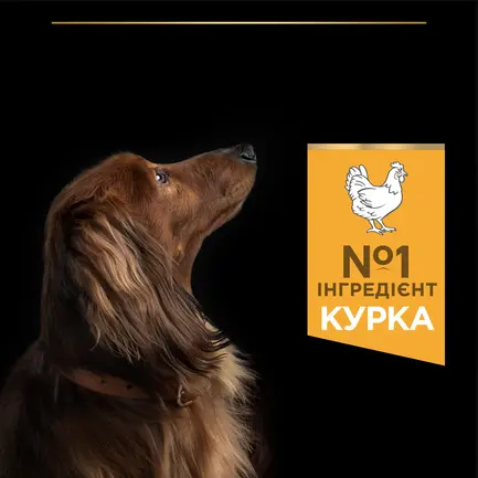 Сухий корм PRO PLAN Small&Mini Adult 1+ Everyday Nutrion для дорослих собак дрібних порід з куркою 700 г: додаткове фото 5