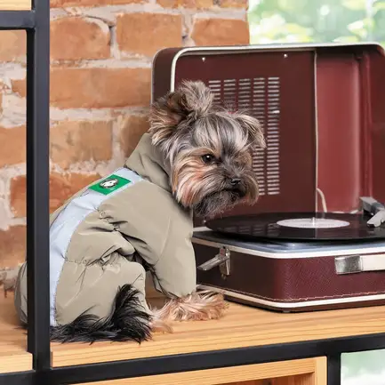 Комбінезон Pet Fashion Ego для собак, розмір М, бежевий: додаткове фото 6