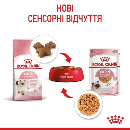 Вологий корм Royal Canin KITTEN INSTINCTIVE IN JELLY для кошенят всіх порід 85 г — Фото 3