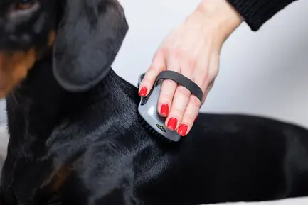 Щітка масажна FURminator для собак та котів, гумова: додаткове фото 8