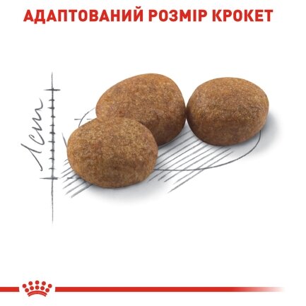 Сухий корм Royal Canin STERILISED для котів всіх порід 9кг + 1 кг — Фото 4