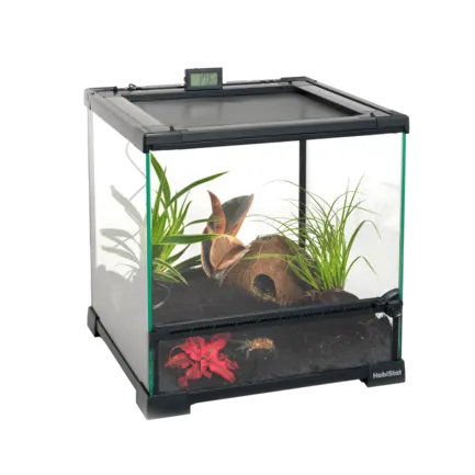 Тераріумний стартовий набір HABISTAT SPIDER STARTER KIT (R1100290): додаткове фото 5