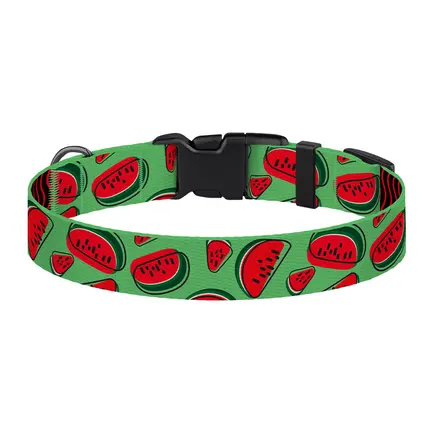 Нашийник для Собак BronzeDog Urban Fruits Нейлоновий з Пластиковою Пряжкою Кавун L: додаткове фото 3
