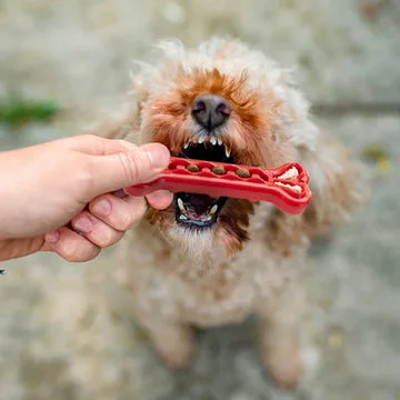 Ferplast SMILE BONE L RED: додаткове фото 4