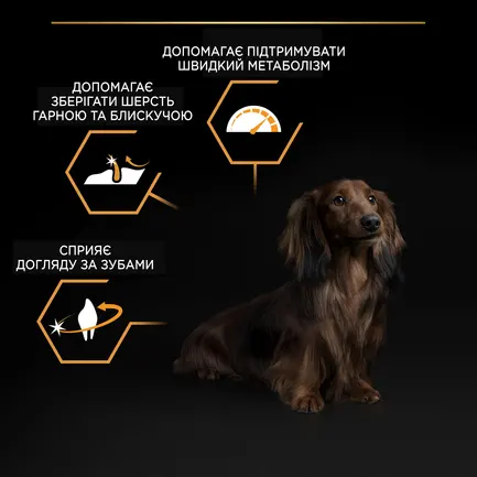 Сухий корм PRO PLAN Small&Mini Adult 1+ Everyday Nutrion для дорослих собак дрібних порід з куркою 700 г: додаткове фото 6