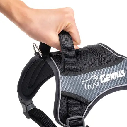 Ferplast GENIUS MEDIUM BLACK HARNESS нейлонова шлея для тварин чорна: додаткове фото 8