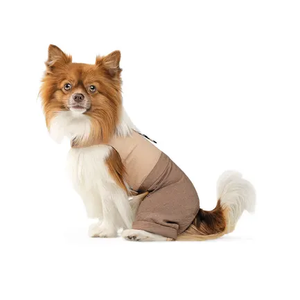 Шлея-костюм Darcy ТМ Pet Fashion для собак XS бежева: додаткове фото 2