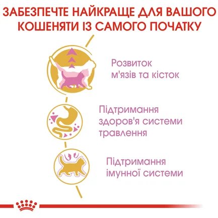 Сухий корм Royal Canin KITTEN BRITISH SHORTHAIR для породи кошенят Британська короткошерста кішка 2 кг: додаткове фото 3
