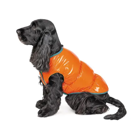 Жилет Pet Fashion «Spring» для собак, розмір XS2, помаранчевий: додаткове фото 3