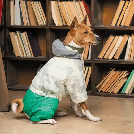 Костюм Pet Fashion Man для собак, розмір S, зелений: додаткове фото 6