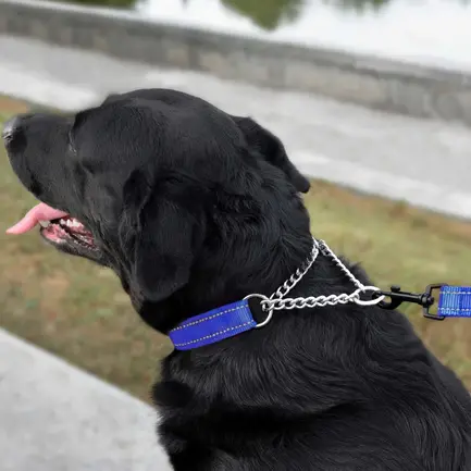 Нашийник для Собак Мартингейл BronzeDog Active нейлоновий зі світловідбиттям Синій M: додаткове фото 6