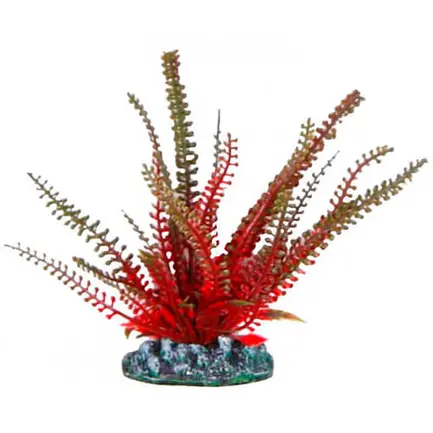 Акваріумна рослина Aquatic Plants, 13 см х 10 шт / уп (1370)