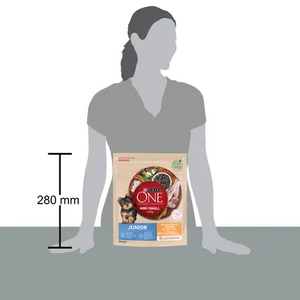 Сухий корм PURINA ONE Mini/Small Junior для цуценят дрібних порід з куркою 800 г: додаткове фото 4