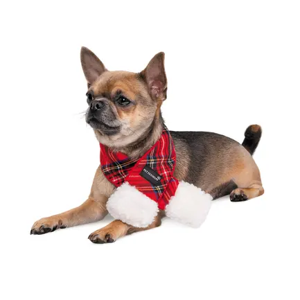 Шарф Pet Fashion «Happy» для собак, розмір XS-S, червоний: додаткове фото 3