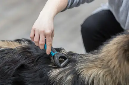 Ковтуноріз для собак Trixie середній пластик метал, 5 х 18 см: додаткове фото 4