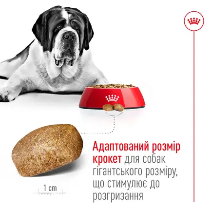 Сухий корм Royal Canin GIANT ADULT для дорослих собак гігантських порід 4 кг: додаткове фото 4