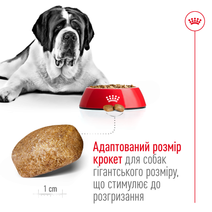 Сухий корм Royal Canin GIANT ADULT для дорослих собак гігантських порід 15 кг — Фото 3