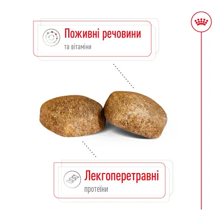 Сухий корм Royal Canin GIANT ADULT для дорослих собак гігантських порід 4 кг: додаткове фото 5
