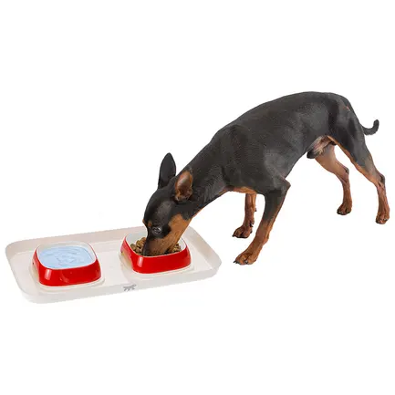 Ferplast GLAM TRAY XS DOVE GREY Лоток з мисками для котів і собак: додаткове фото 2