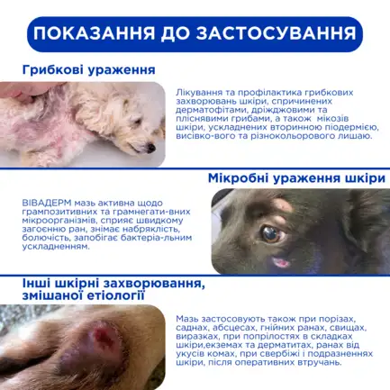 Вівадерм мазь 25 г, MODES: додаткове фото 6
