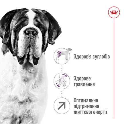 Сухий корм Royal Canin GIANT ADULT для дорослих собак гігантських порід 4 кг: додаткове фото 6