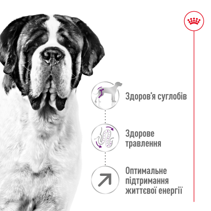 Сухий корм Royal Canin GIANT ADULT для дорослих собак гігантських порід 15 кг — Фото 5