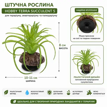 Штучна рослина Hobby Terra Succulent 5 8 см (37734) для тераріуму, акватераріуму та палюдаріуму: додаткове фото 2